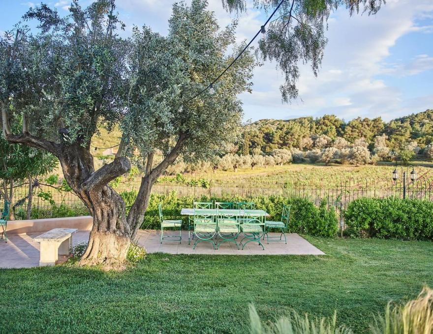 Κτήμα Ποταμίδα Δεξίωση Γάμου Σπάτα Παλλήνη