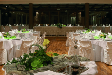 Αίθουσα δεξιώσεων Apolis