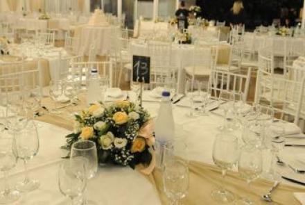 κτήμα γάμου terra verde